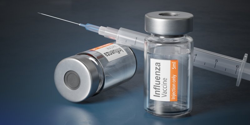 Vacina da Gripe Vacina da Gripe